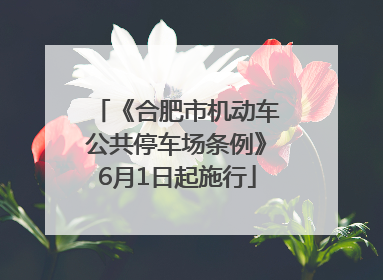 《合肥市机动车公共停车场条例》6月1日起施行
