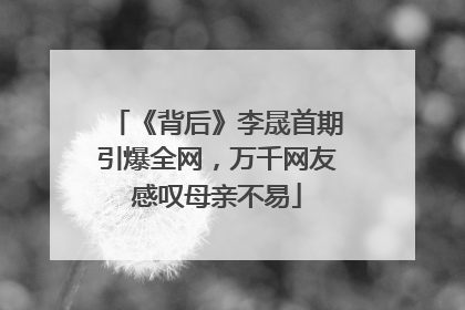 《背后》李晟首期引爆全网，万千网友感叹母亲不易