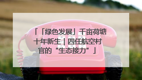 「绿色发展」千亩荷塘 十年新生｜四任航空村官的“生态接力”