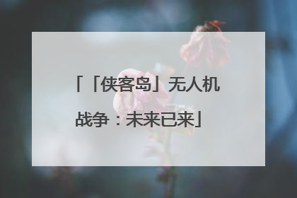 「侠客岛」无人机战争：未来已来