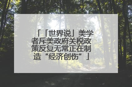「世界说」美学者斥美政府关税政策反复无常正在制造“经济创伤”
