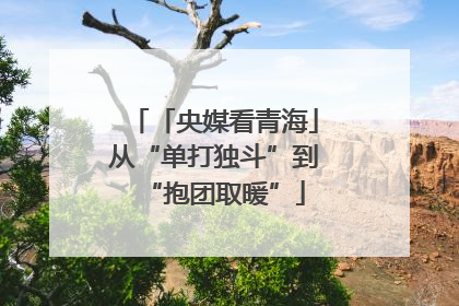 「央媒看青海」从“单打独斗”到“抱团取暖”