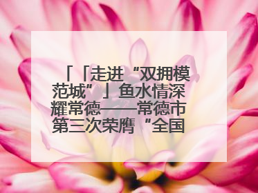 「走进“双拥模范城”」鱼水情深耀常德——常德市第三次荣膺“全国双拥模范城”