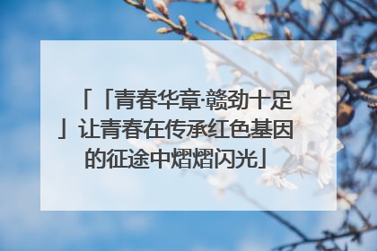 「青春华章·赣劲十足」让青春在传承红色基因的征途中熠熠闪光