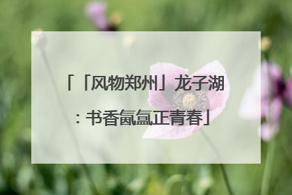 「风物郑州」龙子湖：书香氤氲正青春