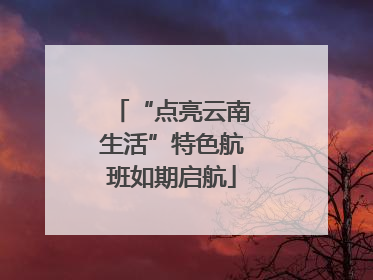 “点亮云南生活”特色航班如期启航