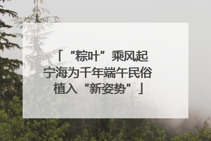 “粽叶”乘风起 宁海为千年端午民俗植入“新姿势”