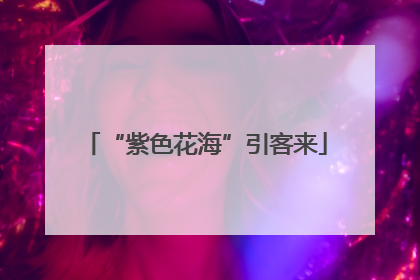 “紫色花海”引客来