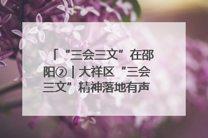 “三会三文”在邵阳②｜大祥区“三会三文”精神落地有声 以实干实绩助力区域高质量发展