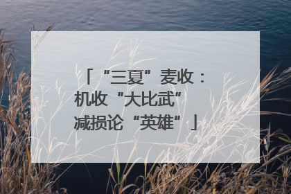 “三夏”麦收：机收“大比武” 减损论“英雄”