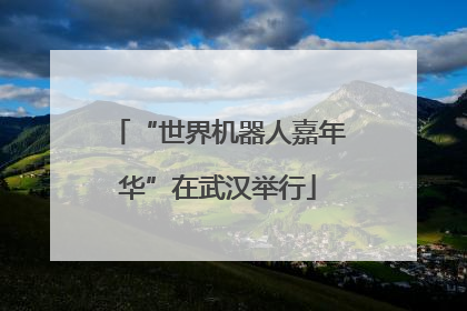 “世界机器人嘉年华”在武汉举行
