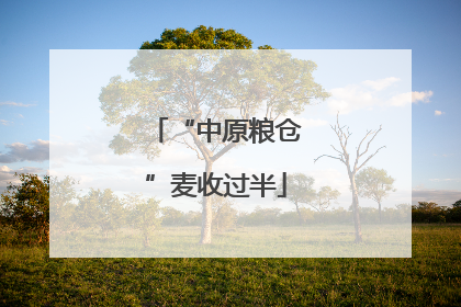 “中原粮仓”麦收过半