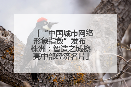 “中国城市网络形象指数”发布 株洲：智造之城擦亮中部经济名片