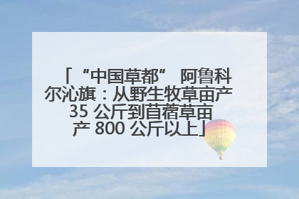 “中国草都” 阿鲁科尔沁旗：从野生牧草亩产 35 公斤到苜蓿草亩产 800 公斤以上