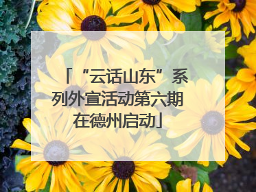 “云话山东”系列外宣活动第六期在德州启动