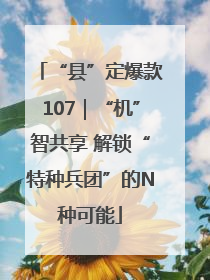 “县”定爆款107｜“机”智共享 解锁“特种兵团”的N种可能