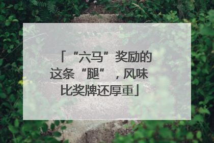 “六马”奖励的这条“腿”，风味比奖牌还厚重