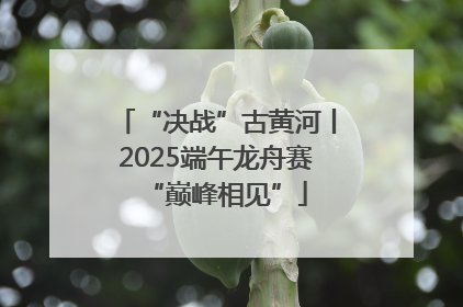 “决战”古黄河丨2025端午龙舟赛“巅峰相见”