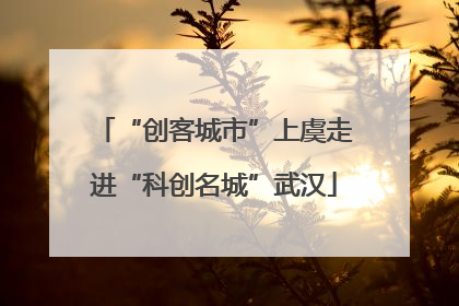 “创客城市”上虞走进“科创名城”武汉