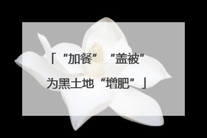“加餐”“盖被” 为黑土地“增肥”