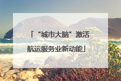 “城市大脑”激活航运服务业新动能