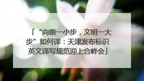 “向前一小步，文明一大步”如何译：天津发布标识英文译写规范迎上合峰会
