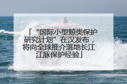 “国际小型鲸类保护研究计划”在汉发布，将向全球推介落地长江江豚保护经验