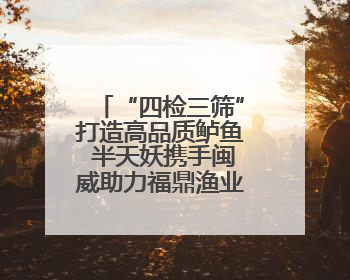 “四检三筛”打造高品质鲈鱼 半天妖携手闽威助力福鼎渔业实现产业升级