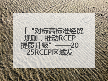 “对标高标准经贸规则，推动RCEP提质升级”——2025RCEP区域发展媒体智库论坛举行专题对话