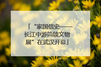 “家国信史——长江中游简牍文物展”在武汉开幕