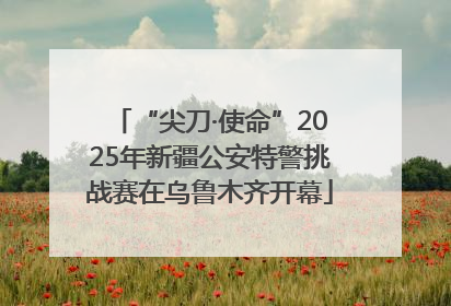 “尖刀·使命”2025年新疆公安特警挑战赛在乌鲁木齐开幕