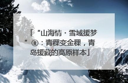“山海情・雪域援梦”⑧：青稞变金稞，青岛援藏的高原样本