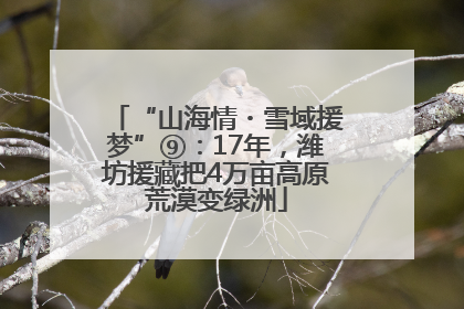 “山海情・雪域援梦”⑨：17年，潍坊援藏把4万亩高原荒漠变绿洲