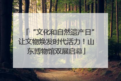 “文化和自然遗产日”让文物焕发时代活力！山东博物馆双展启幕