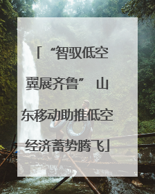 “智驭低空 翼展齐鲁” 山东移动助推低空经济蓄势腾飞