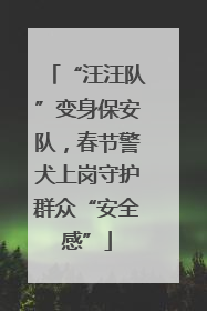 “汪汪队”变身保安队，春节警犬上岗守护群众“安全感”