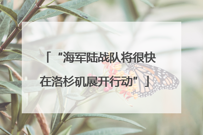 “海军陆战队将很快在洛杉矶展开行动”