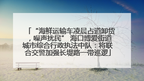 “海鲜运输车凌晨占道卸货，噪声扰民” 海口博爱街道城市综合行政执法中队：将联合交警加强长堤路一带巡逻