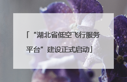 “湖北省低空飞行服务平台”建设正式启动