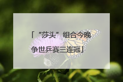 “莎头”组合今晚争世乒赛三连冠