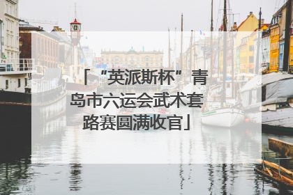 “英派斯杯”青岛市六运会武术套路赛圆满收官