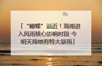 “蝴蝶”逼近！海南进入风雨核心影响时段 今明天局地有特大暴雨
