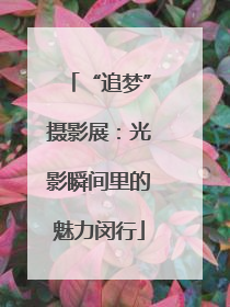 “追梦”摄影展：光影瞬间里的魅力闵行