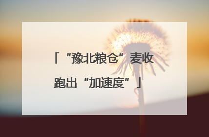 “豫北粮仓”麦收跑出“加速度”