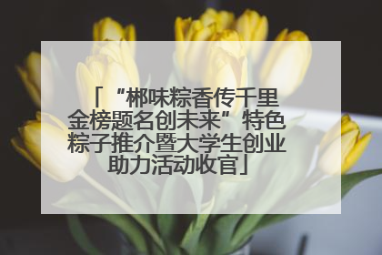 “郴味粽香传千里 金榜题名创未来”特色粽子推介暨大学生创业助力活动收官