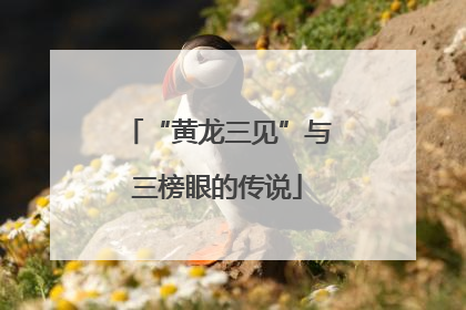 “黄龙三见”与三榜眼的传说