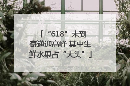 “618”未到 寄递迎高峰 其中生鲜水果占“大头”