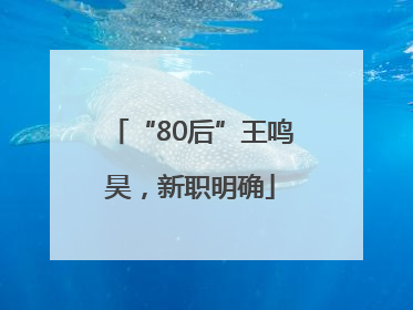 “80后”王鸣昊，新职明确
