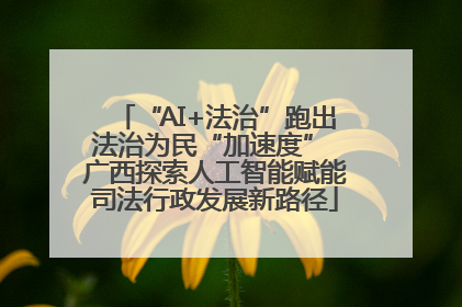 “AI+法治”跑出法治为民“加速度” 广西探索人工智能赋能司法行政发展新路径