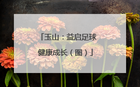 玉山：益启足球 健康成长（图）